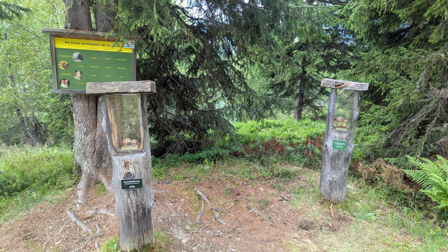 Zwei hölzerne Schaukästen mit einer Infotafel im Wald