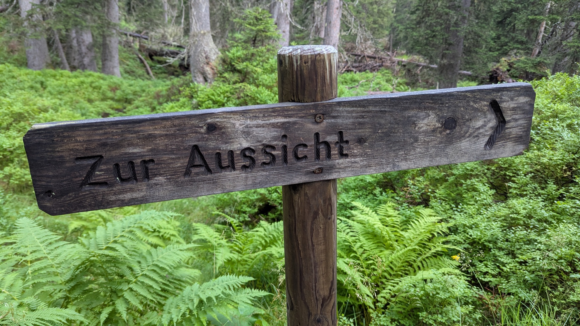 Geschnitzter hölzerner Wegweiser mit der Aufschrift „Zur Aussicht“ im Wald